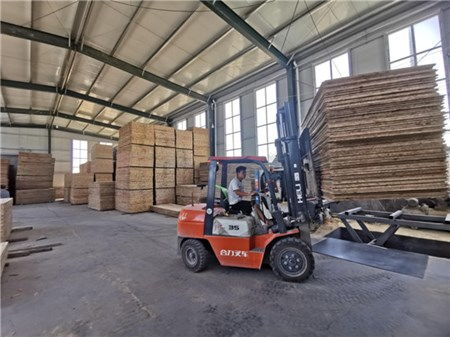 特色产业助力乡村振兴——木业的绿色发展之路