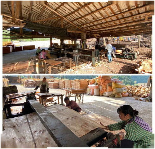 木业加工厂复工助力拓宽就业渠道