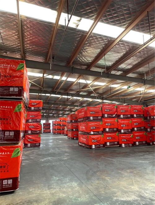 鼎立达荣获金匠榜健康板材十大品牌 实力加冕，引领木业高质量发展