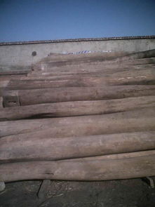 榆木梁高清图片赏析及全木业有限责任公司介绍