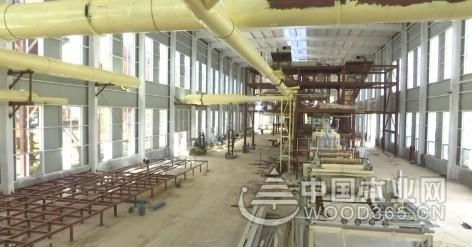 临沂兰山区 从“木业之都”到“绿色智造”的转型之路